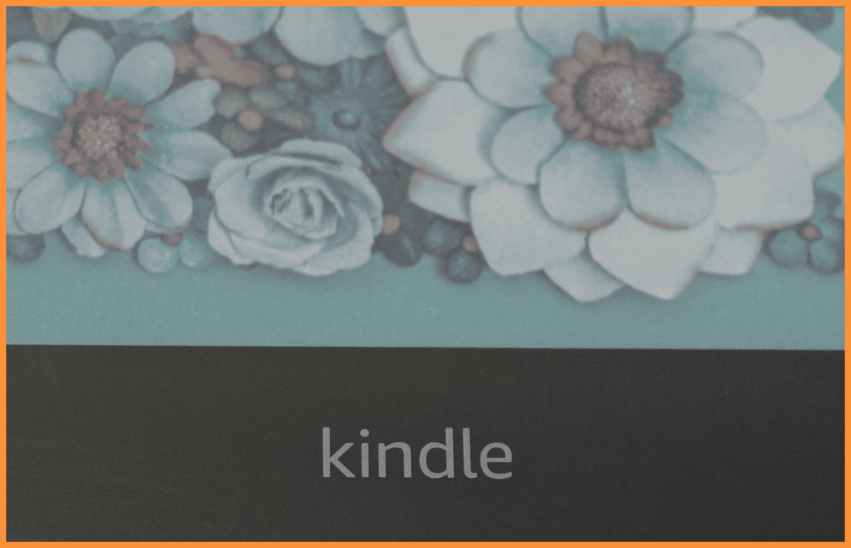 Amazon Kindle, dlaczego Onyx Boox to lepsza alternatywa