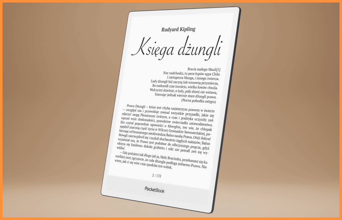 Czytnik e-book PocketBook inkPad One profil