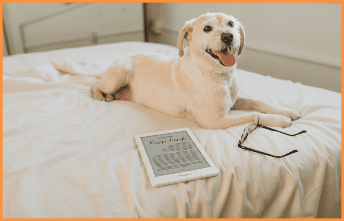 czytnik ebook a digital detox