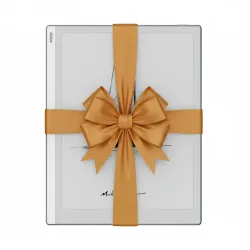 czytnik ebook Onyx Boox Go 10,3