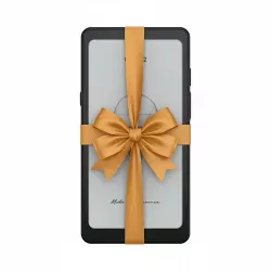 czytnik ebook Onyx Boox Palma 2 Czarny