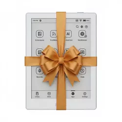 Onyx Boox Go 6 Biały