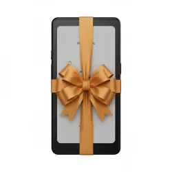 Onyx Boox Palma 2 Pro Czarny + 2200 ebooków GRATIS! Onyx Boox Palma 2 Pro Czarny