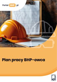 Plan pracy BHP-owca - Kamil Szyszkiewicz