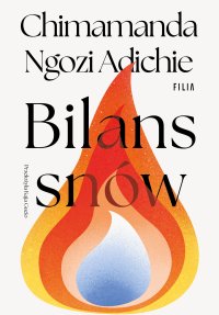 Bilans snów - Chimamanda Ngozi Adichie, Kaja Gucio