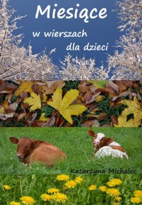 Miesiące w wierszach dla dzieci - Katarzyna Michalec