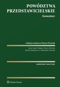 Powództwa przedstawicielskie. Komentarz - 