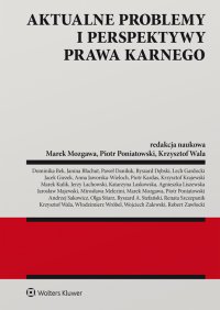 Aktualne problemy i perspektywy prawa karnego - Marek Mozgawa