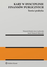 Kary w dyscyplinie finansów publicznych - 
