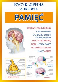 Pamięć. Encyklopedia zdrowia - Agnieszka Umińska, Agnieszka Umińska
