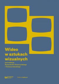 Wideo w sztukach wizualnych - Ryszard W. Kluszczyński