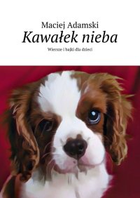 Kawałek nieba - Maciej Adamski