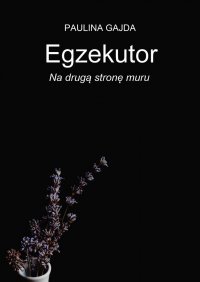 Egzekutor: na drugą stronę muru - 