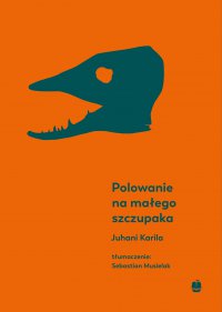 Polowanie na małego szczupaka - 