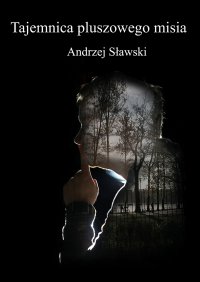 Tajemnica pluszowego misia - Andrzej Sławski