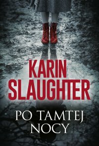Po tamtej nocy - Karin Slaughter