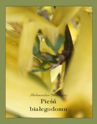 Pieśń białego domu - Aleksander Szczęsny