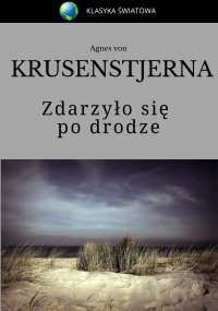 Zdarzyło się po drodze - Agnes von Krusenstjerna