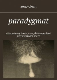 Paradygmat - Zeno Olech