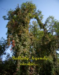 Ballady, legendy czeskie... - Antologia 