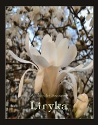 Liryka - Aleksander Szczęsny