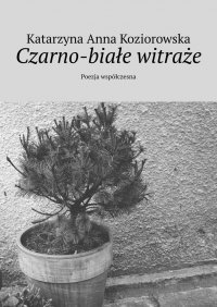 Czarno-białe witraże - Katarzyna Koziorowska