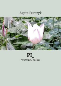 Pi_ - Agata Furczyk