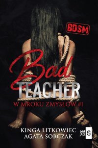 Bad Teacher. W mroku zmysłów - Kinga Litkowiec