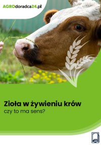 Zioła w żywieniu krów – czy to ma sens? - Joanna Cała