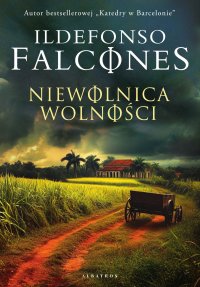 Niewolnica wolności - Ildefonso Falcones, Joanna Ostrowska