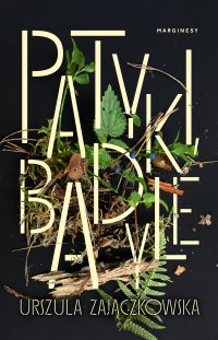 Patyki, badyle - Urszula Zajączkowska
