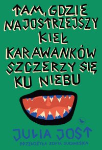 Tam, gdzie najostrzejszy kieł Karawanków szczerzy się ku niebu - Z. Sucharska, Julia Jost