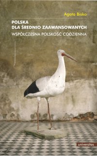 Polska dla średnio zaawansowanych. Współczesna polskość codzienna - Agata Bisko