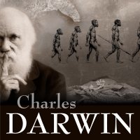 Darwin i jego teoria ewolucji - St. Szary