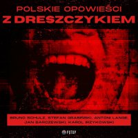 Polskie opowieści z dreszczykiem - Bruno Schulz