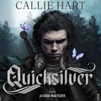 Quicksilver - 