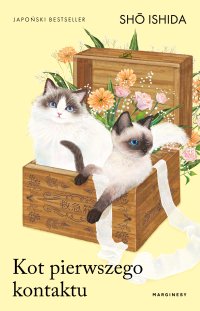 Kot pierwszego kontaktu - Shō Ishida