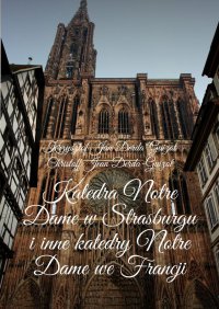 Katedra Notre Dame w Strasburgu i inne katedry Notre Dame we Francji - Krzysztof Derda-Guizot