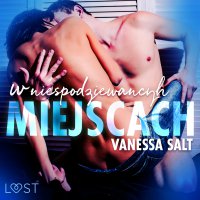 W niespodziewanych miejscach: 3 serie erotyczne autorstwa Vanessy Salt - Vanessa Salt 