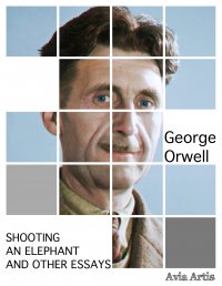 Shooting an Elephant and Other Essays - George Orwell