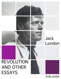 Revolution and Other Essays - Jack London