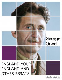 England Your England and Other Essays - George Orwell
