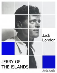 Jerry of the Islands - Jack London