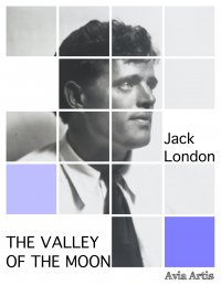 The Valley of the Moon - Jack London
