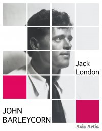John Barleycorn - Jack London