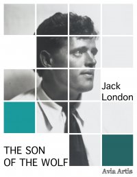 The Son of the Wolf - Jack London