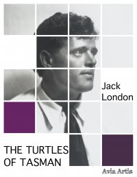 The Turtles of Tasman - Jack London