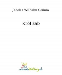 Król żab - Jacob i Wilhelm Grimm