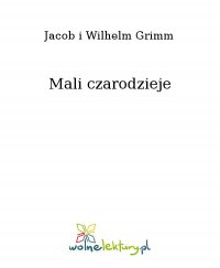 Mali czarodzieje - Jacob i Wilhelm Grimm
