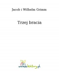 Trzej bracia - Wilhelm Grimm